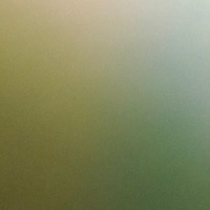 Meet your Posher, Jadah